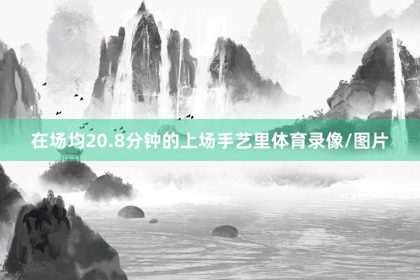 在场均20.8分钟的上场手艺里体育录像/图片