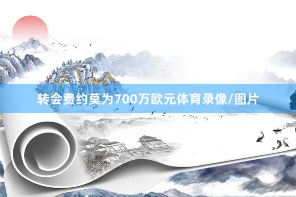 转会费约莫为700万欧元体育录像/图片