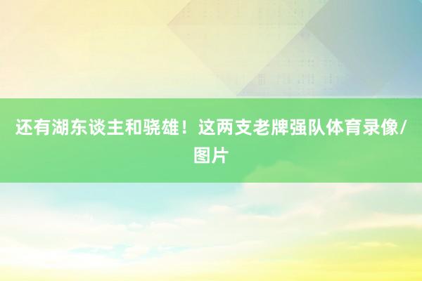 还有湖东谈主和骁雄！这两支老牌强队体育录像/图片