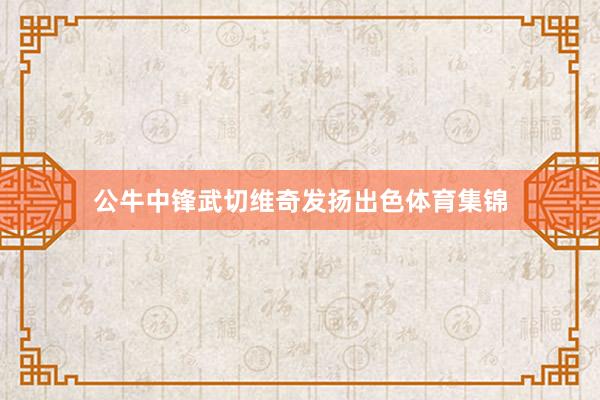 公牛中锋武切维奇发扬出色体育集锦