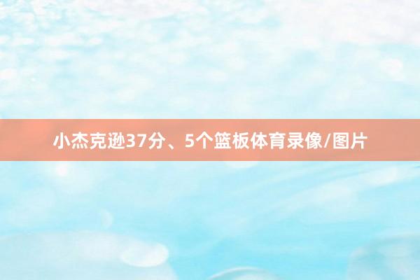 小杰克逊37分、5个篮板体育录像/图片