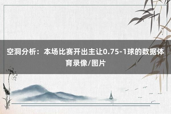空洞分析:本场比赛开出主让0.75-1球的数据体育录像/图片