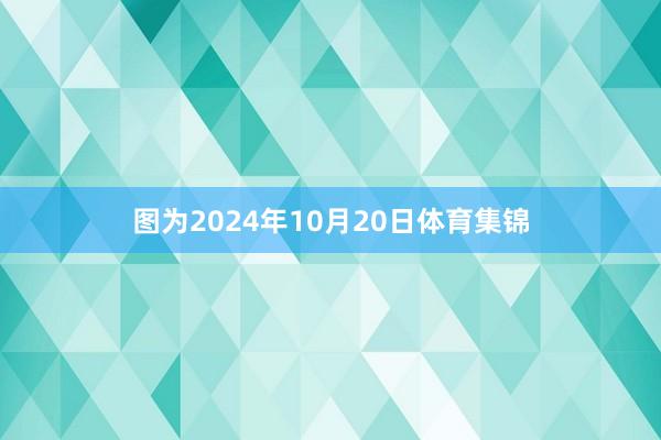 图为2024年10月20日体育集锦