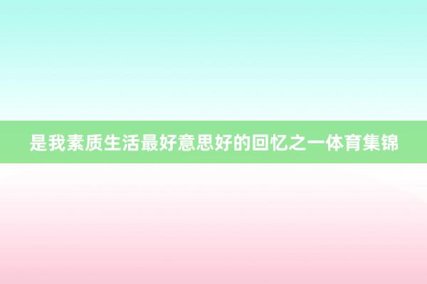 是我素质生活最好意思好的回忆之一体育集锦
