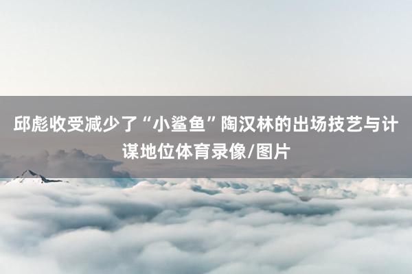 邱彪收受减少了“小鲨鱼”陶汉林的出场技艺与计谋地位体育录像/图片