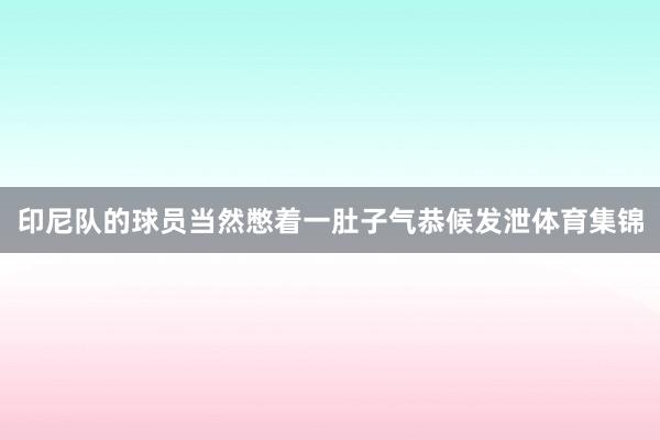 印尼队的球员当然憋着一肚子气恭候发泄体育集锦