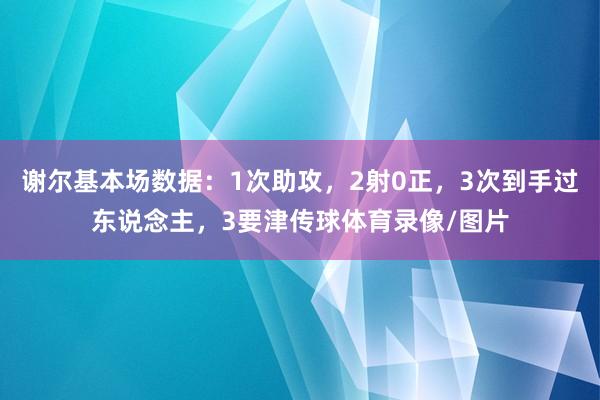 谢尔基本场数据：1次助攻，2射0正，3次到手过东说念主，3要津传球体育录像/图片